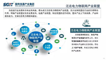 信通技術(shù) 國網(wǎng)信通產(chǎn)業(yè)集團(tuán)賦能泛在電力物聯(lián)網(wǎng)建設(shè)與發(fā)展